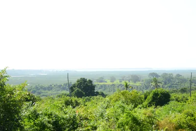 DSC_8300 (Large).JPG